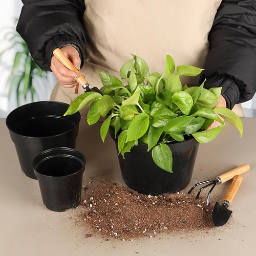 4/6/8 Inch Black Plant Nursery Pots, 15 Pack, Thickened Plastic - Image 2