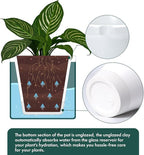 D'vine Dev 10 Inch Design Self Watering Planter - Image 6