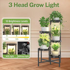 iDavosic.ly Plant Stand Indoor - Image 5