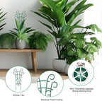 Indoor Plant Trellis for Climbing Plants, 8 Pack Garden Trellis for Potted - Image 3