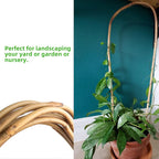 Avalution 16" Natural Bamboo Plants Trellis U-Hoop, Bamboo Gaeden Trellis - Image 3