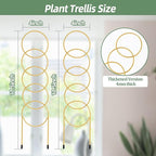 17.5 Inch Indoor Plant Trellis for Climbing Plants, Metal Trellis, Small Garden - Image 2