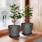 6 Pack 6 Inch Indoor Plant Pots - Image 8
