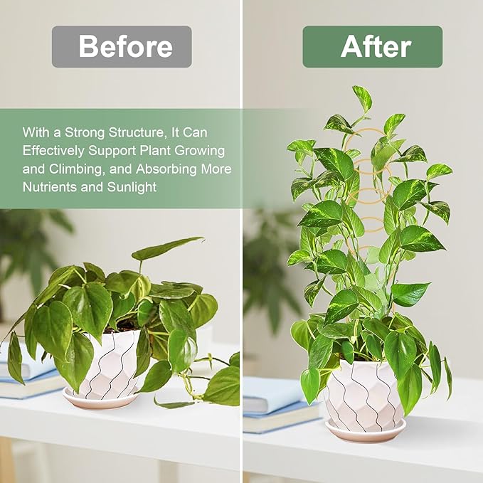 17.5 Inch Indoor Plant Trellis for Climbing Plants, Metal Trellis, Small Garden - Image 3