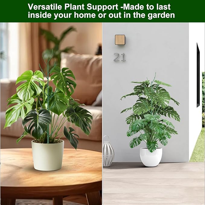 5 Pack Stackable Monstera Plant Support Stakes - Image 6
