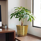 Ceramic Plant Pots - Image 3