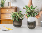 Melphoe Self Watering Pots for Indoor Plants Planter, 6.5/5.3 Inch 2 Pack - Image 2