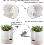 Nihow Self Watering Plant Pot: 8 Inch Ceramic Planter - Image 3