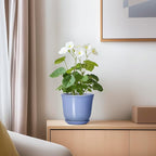 Ceramic Plant Pots - Image 6