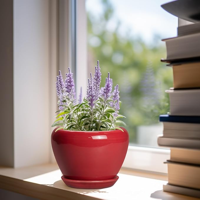6 Inch Plant Pot - Image 2