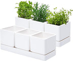D'vine Dev Herb Garden Planter Set, Plastic Plant Pots by DvineDevPlanterPotsandStand