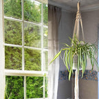 3 Pack Macrame Plant Hanger Indoor Hanging Planter - Image 8