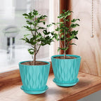 6 Pack 6 Inch Indoor Plant Pots - Image 8