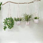 Macrame Plant Hanger Indoor Set of 4 - Image 8