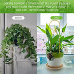 4 Pcs Small Metal Trellis for Potted Plants, Small Trellis for Potted Plants - Image 5