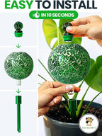 16 Oz Plant Watering Globes for Indoor Plants - Image 4