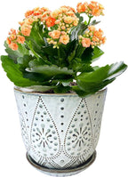 Gepege 6 Inch Beaded Ceramic Planter Set of 2 - Image 4