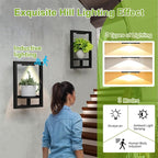 BAOYOUNI 2 Pack Picture Frame Wall Plant Holder - Image 7