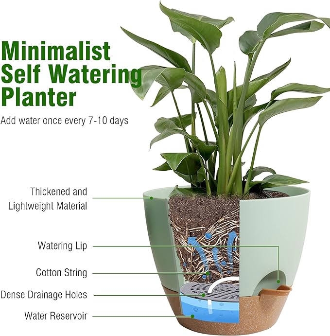 Big Self Watering Pots 12/10/9 inch, Plant Pots - Image 5