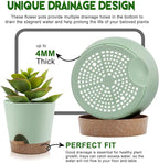 Indoor Self Watering Planters - Image 3