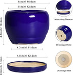 SQOWL Ceramic Planters for Indoor Plants - Image 3