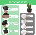 12" 10" 9" 8" Self Watering Pots - Image 3