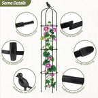 Garden Obelisk Trellis for Climbing Plants Outdoor - Image 3