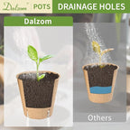 Dalzom® 60Pcs 3.1” Peat Pots - Image 4