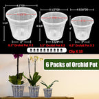 Orchid Pot, 2 Each of 4.3", 6.1" Orchid Pots - Image 6