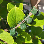 30 Pcs Plant Support Stakes - Image 6