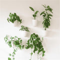 Make Good PlantPod Luxe by MakeGood
