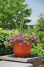 Garden Elements Indoor/Outdoor Glazed Brushed Happy Plastic Planter, Bright - Image 4