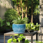 SQOWL Ceramic Planters - Image 5