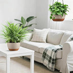 Hanging Planters for Indoor Plants - Image 4