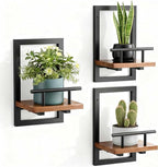 bosbo Floating Shelves for Wall, Plant Shelf Indoor, Wall Planters for Indoor by SBOSBO