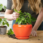 Ceramic Plant Pot 6 Inch - Image 6
