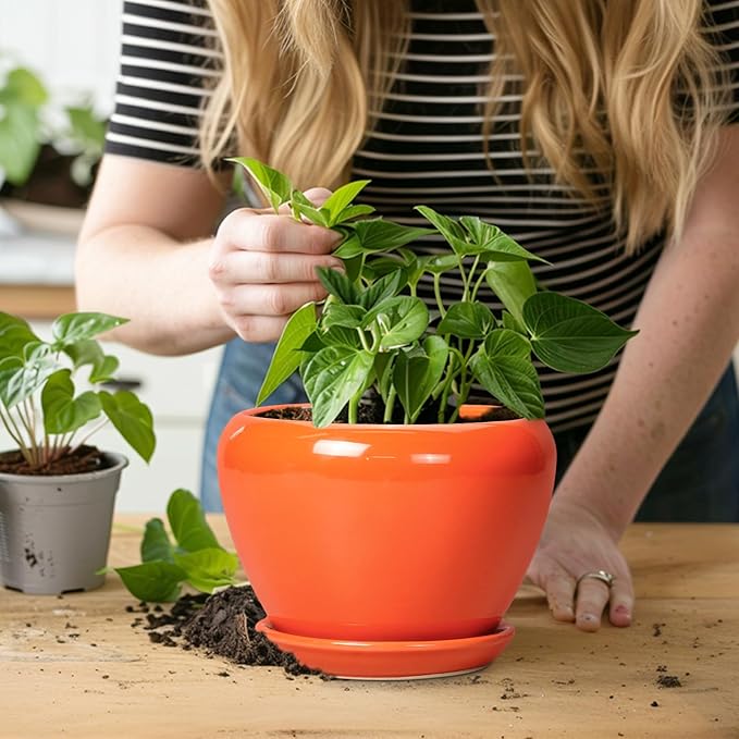 Ceramic Plant Pot 6 Inch - Image 6