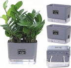 FAMZ Self Watering Pots for Outdoor Plants 4 Pack, Suitable for Indoor and - Image 6