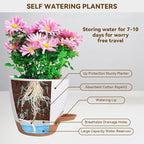 7/6.5/6/5.5/5 Inch Self Watering Pots, Plastic Flower Pots - Image 8