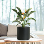 8 Inch Medium Plant Pots for Indoor Outdoor Plants, Cylinder Deep Flower Pots - Image 6