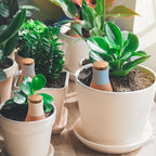 4PCS Terracotta Watering Spikes, Ollas Self Watering Globes, Slow Release Self - Image 5