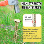 16 Inch Rebar Stakes - Image 3