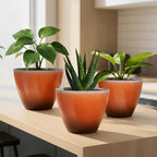 Plant Pots for Indoor Outdoor Plants, 8 Inch Glazed Planters for Indoor Plants - Image 7
