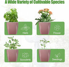 8 Pack Self Watering Pots 4-inch Decorative Flower Planters - Image 6