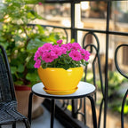 Ceramic Planter 9 Inch - Image 2