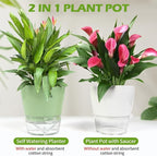 4 Pcs Self Watering Plant Pot, 6 inch Plant Pot - Image 5