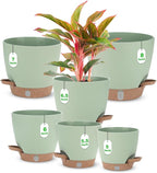 Self Watering Planter Set with Visual Water Level, Modern 8+7+6.5+6+5.5+5 Inch by Ezmixcoop