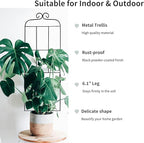 4 Pack 31'' Plant Trellis for Climbing Plants Indoor & Outdoor, Metal Trellis - Image 4
