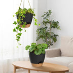 ZMTECH 10 Inch Hanging Planters - Image 5