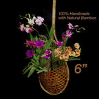 Handmade 100% Thai Bamboo 6 Inch Signature Super Sanctuary SIAM Orchid Hanging - Image 2